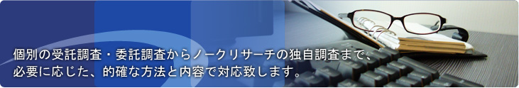 個別の受託調査・委託調査からノークリサーチの独自調査まで、必要に応じた、的確な方法と内容で対応致します。