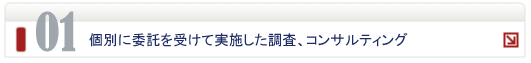 個別に委託を受けて実施した調査、コンサルティング